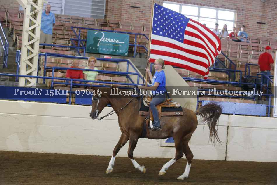 Proof Number 15R11_07646