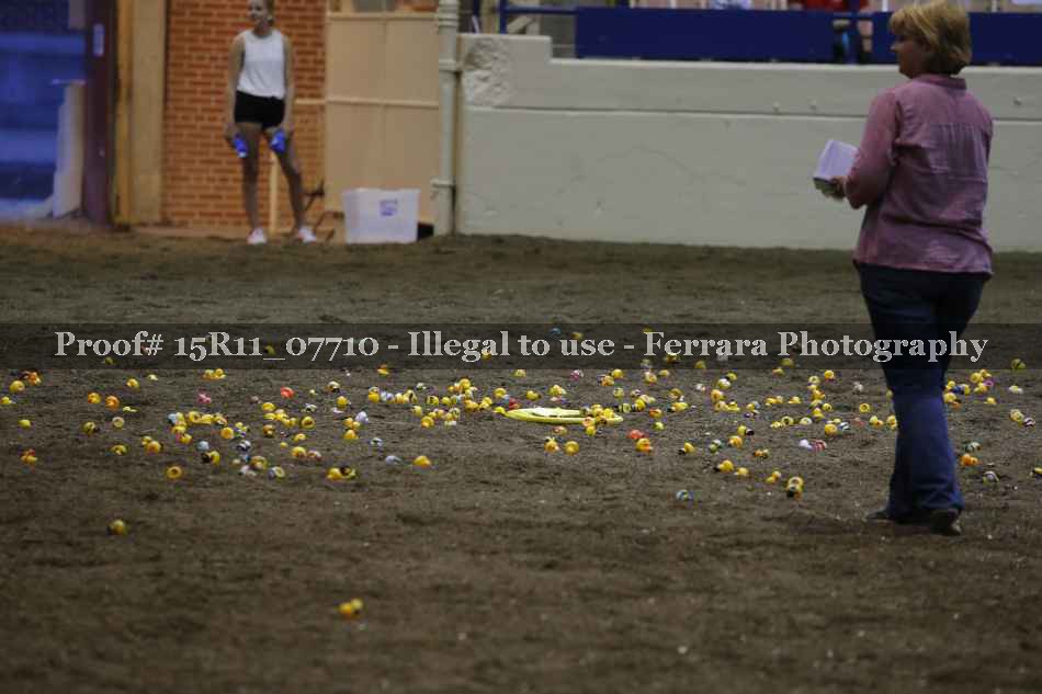 Proof Number 15R11_07710