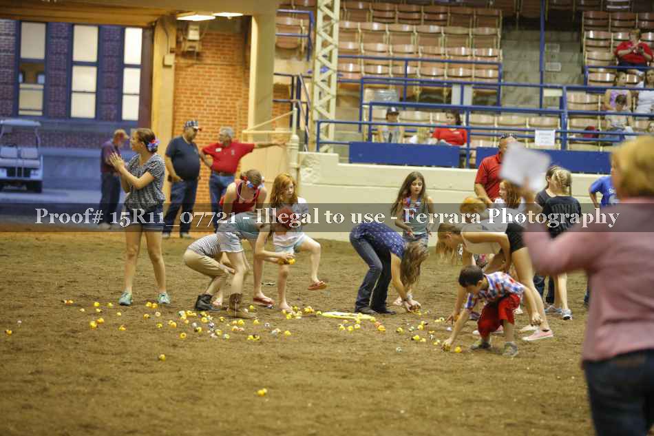Proof Number 15R11_07721