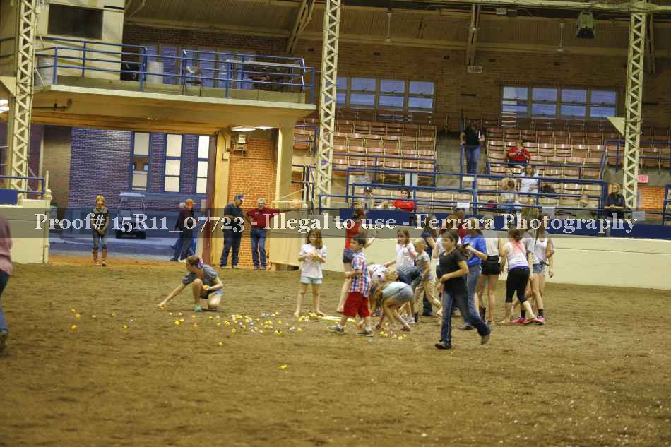 Proof Number 15R11_07723