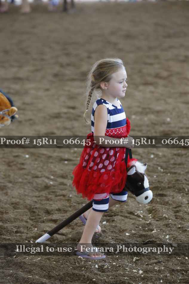 Proof Number 15R11_06645