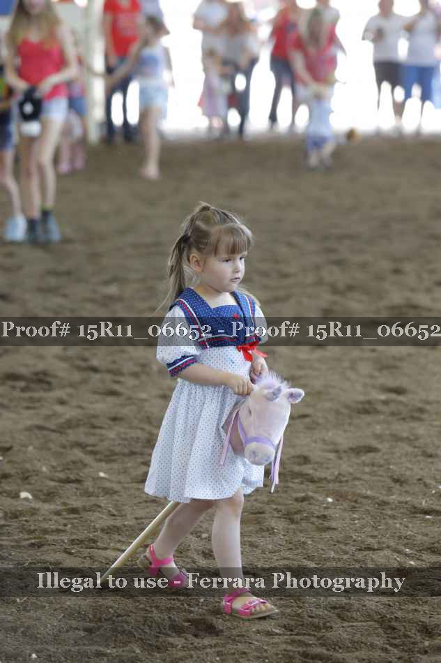 Proof Number 15R11_06652