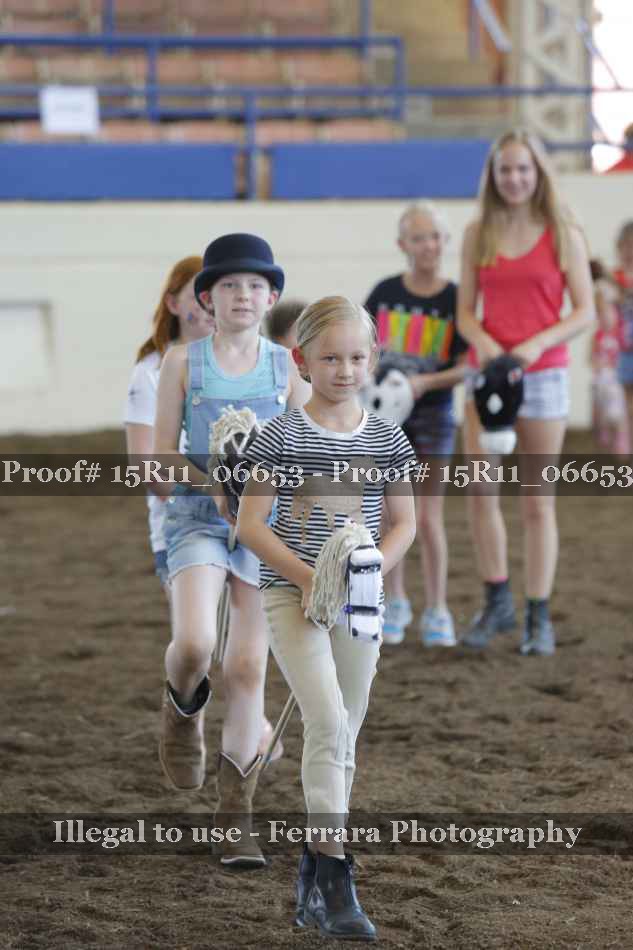 Proof Number 15R11_06653