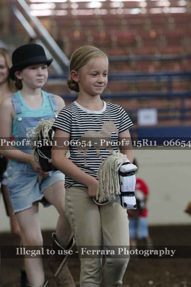 Proof Number 15R11_06654