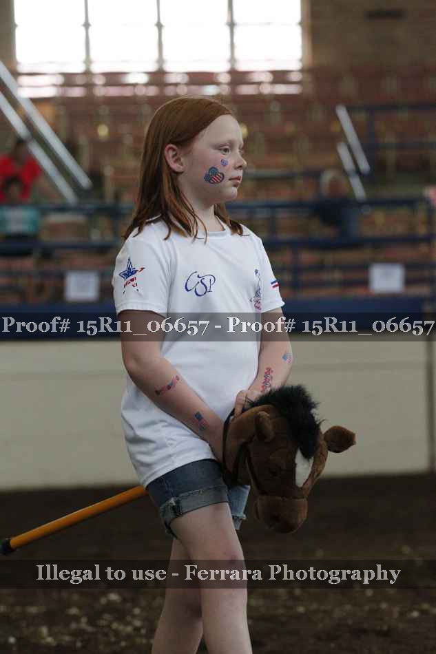 Proof Number 15R11_06657