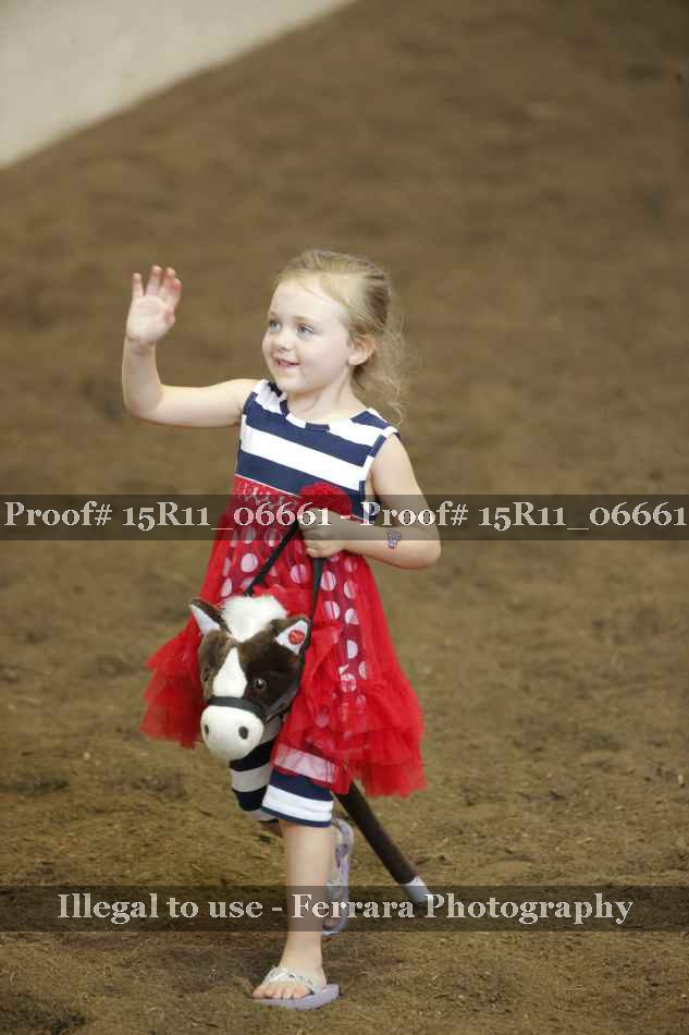 Proof Number 15R11_06661