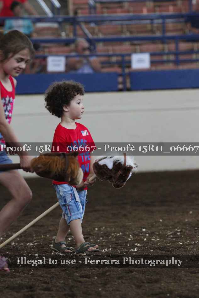 Proof Number 15R11_06667