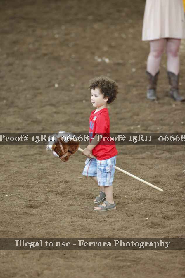 Proof Number 15R11_06668