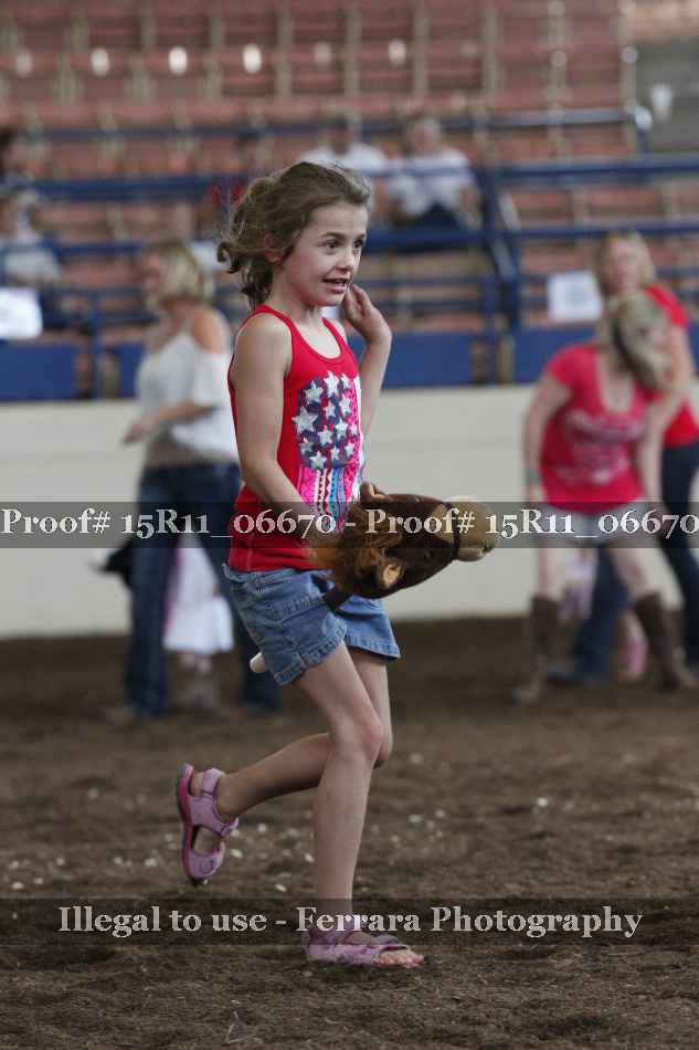 Proof Number 15R11_06670