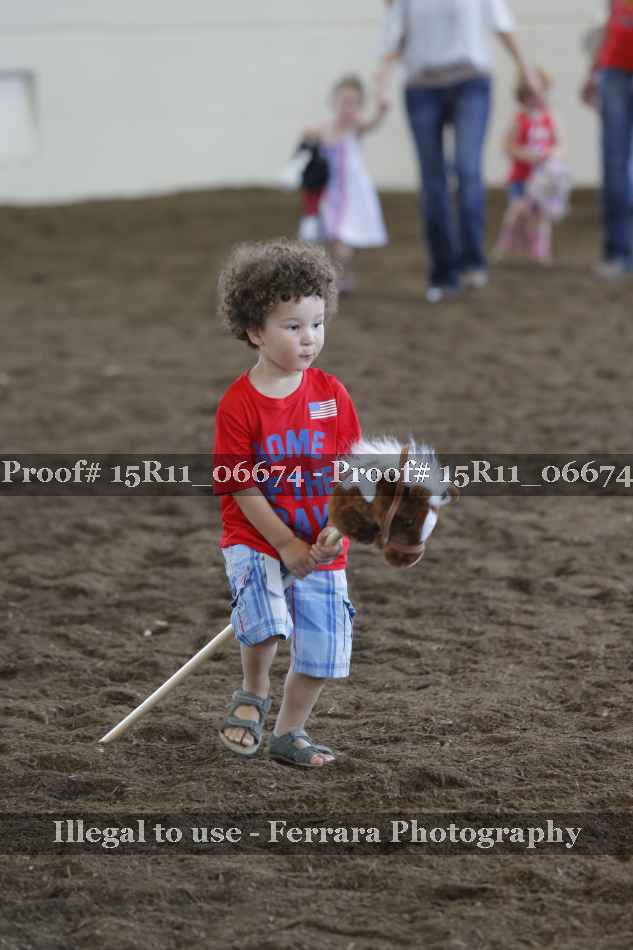 Proof Number 15R11_06674