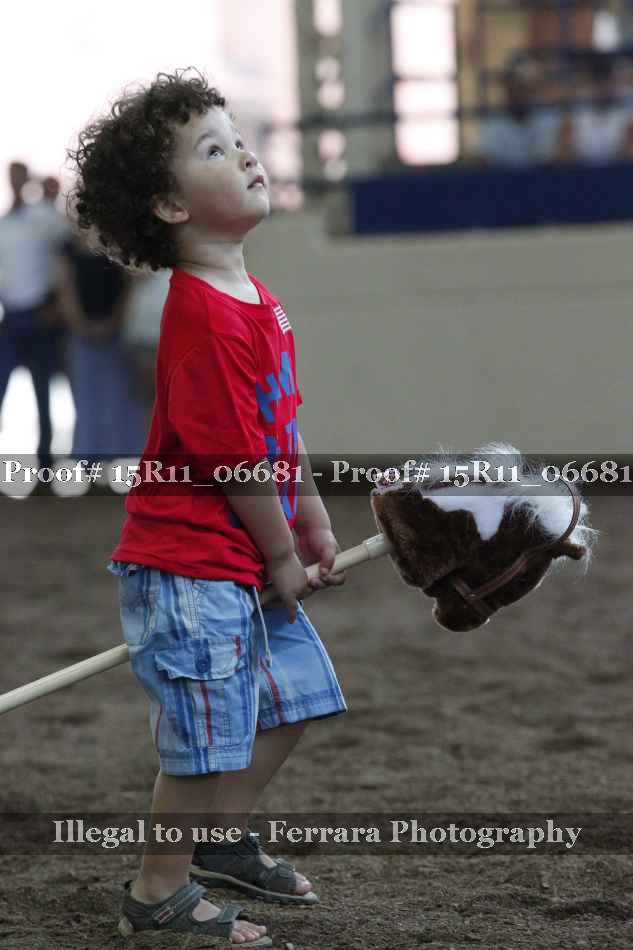 Proof Number 15R11_06681