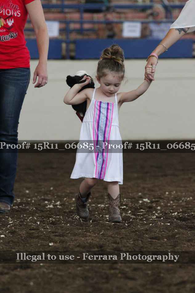 Proof Number 15R11_06685