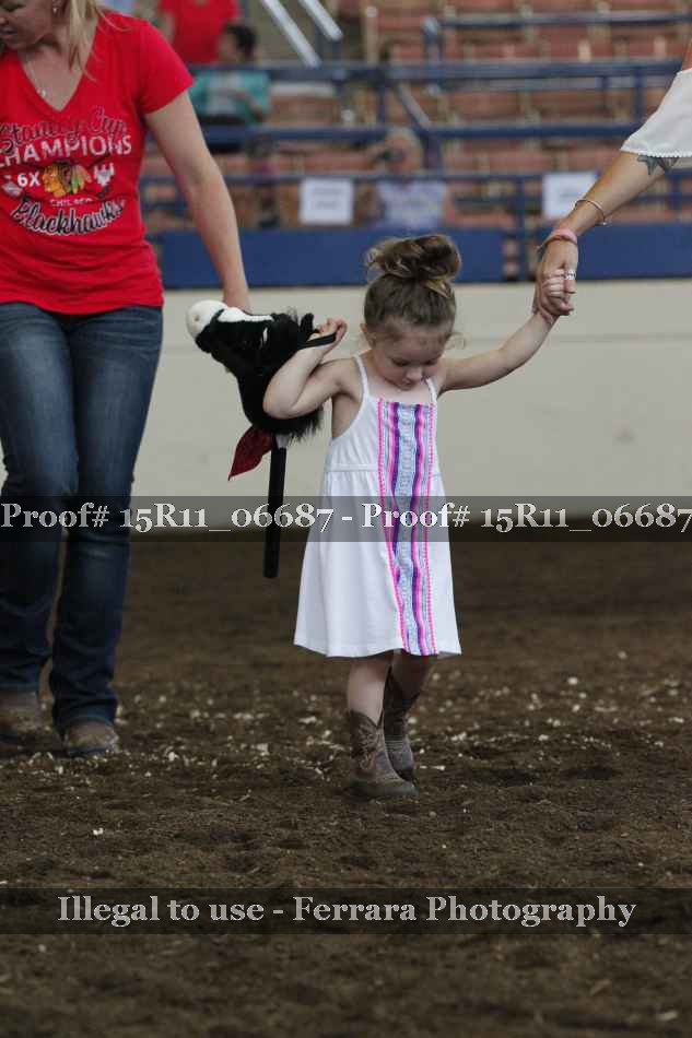 Proof Number 15R11_06687