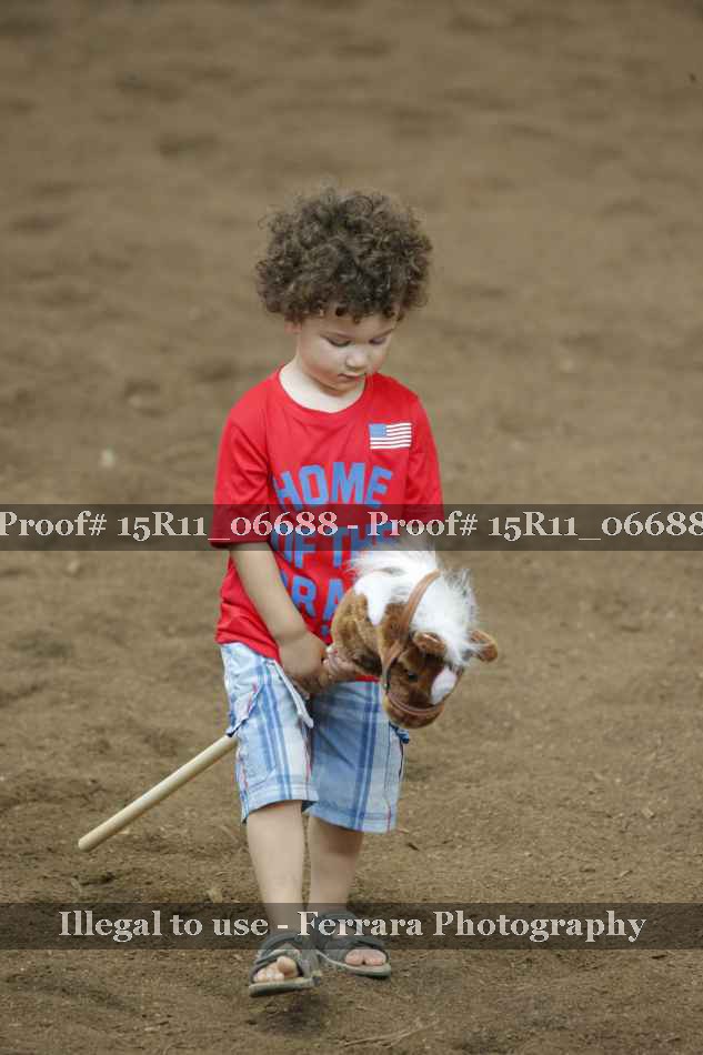 Proof Number 15R11_06688