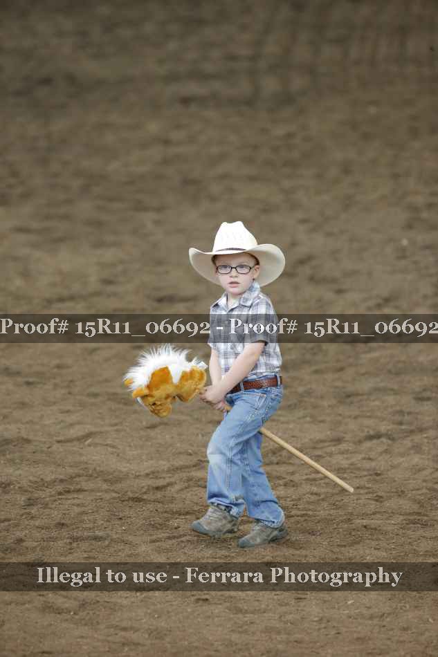 Proof Number 15R11_06692