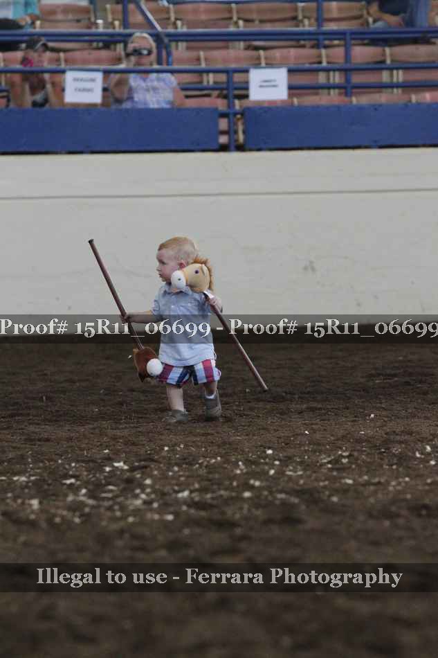 Proof Number 15R11_06699