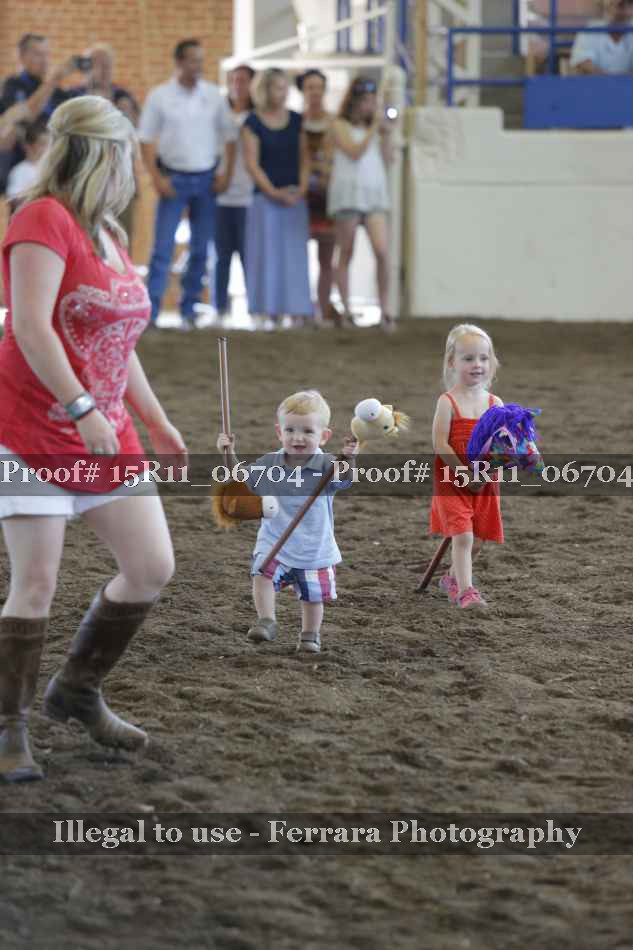 Proof Number 15R11_06704