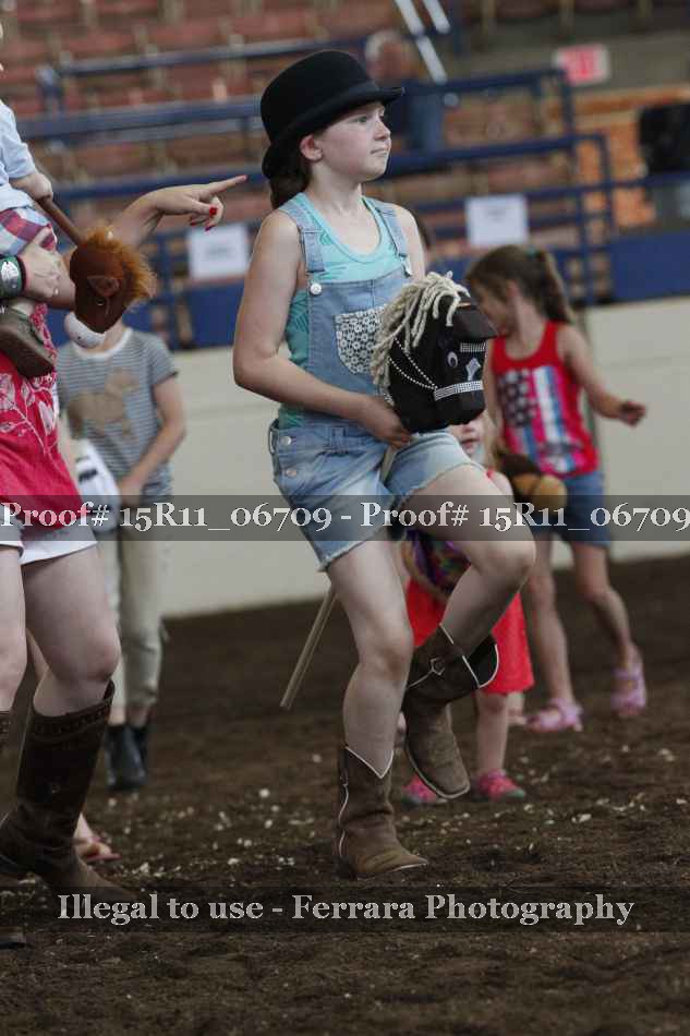 Proof Number 15R11_06709