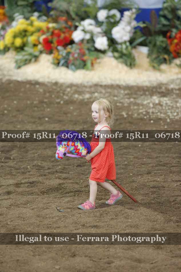 Proof Number 15R11_06718