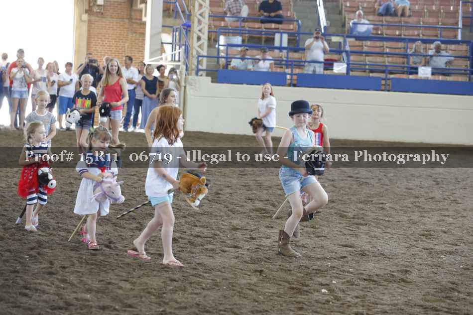 Proof Number 15R11_06719