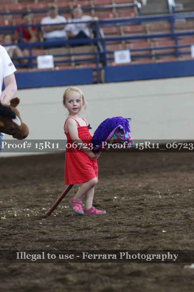 Proof Number 15R11_06723