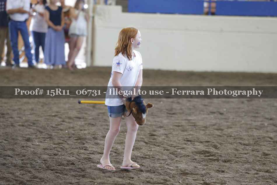 Proof Number 15R11_06731