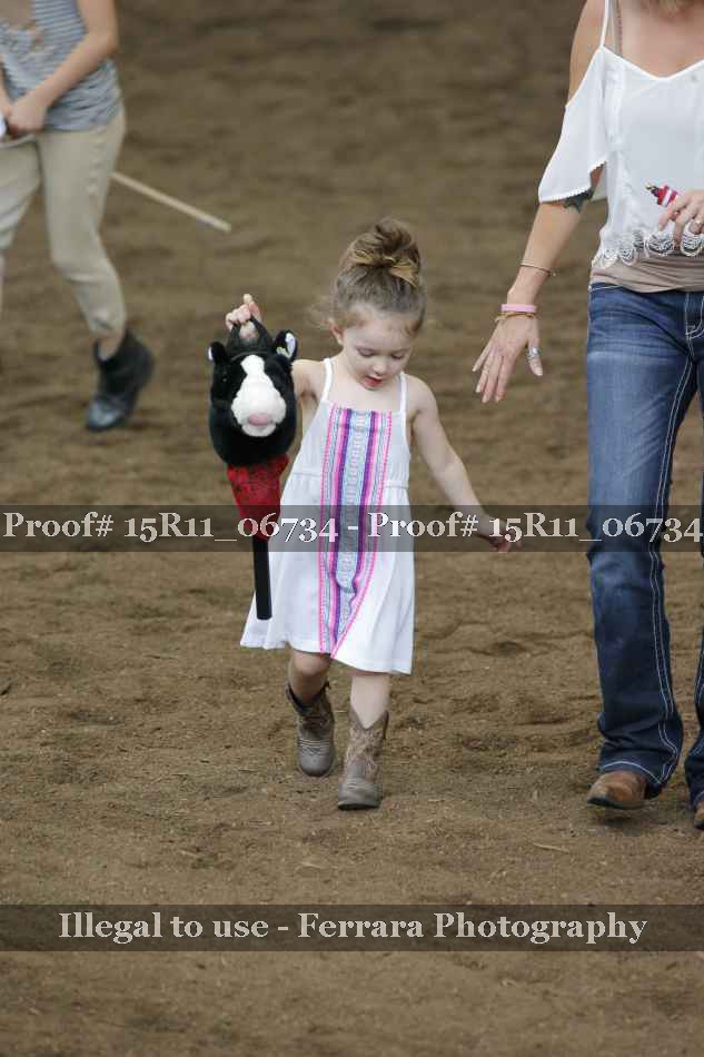 Proof Number 15R11_06734