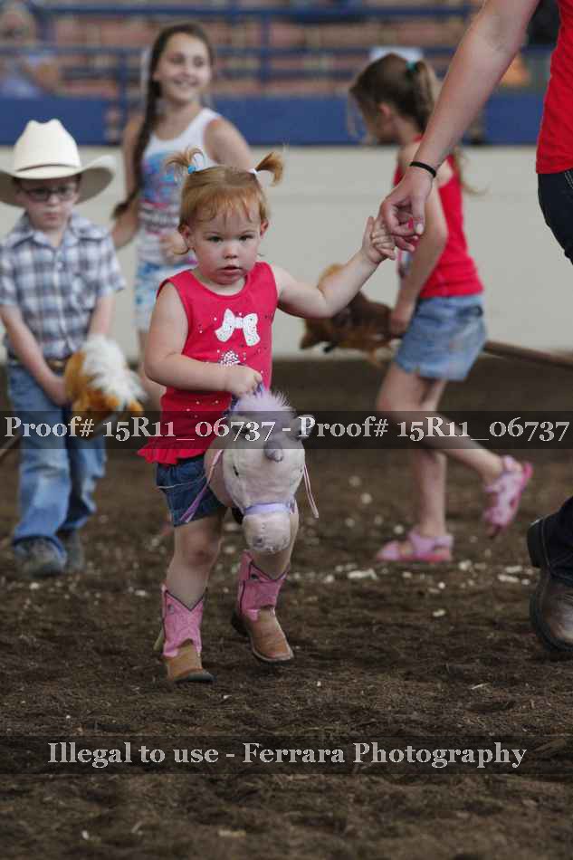 Proof Number 15R11_06737