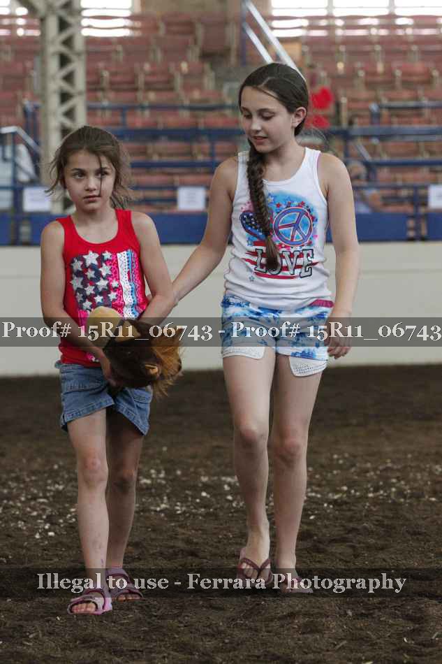 Proof Number 15R11_06743