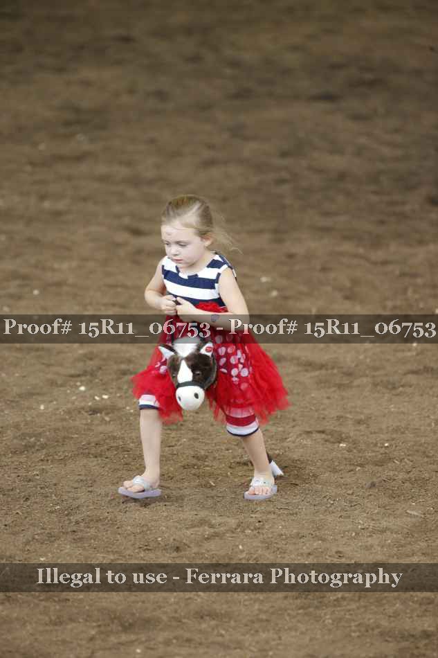 Proof Number 15R11_06753