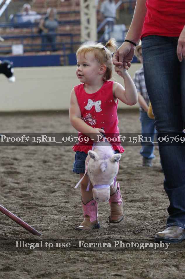Proof Number 15R11_06769