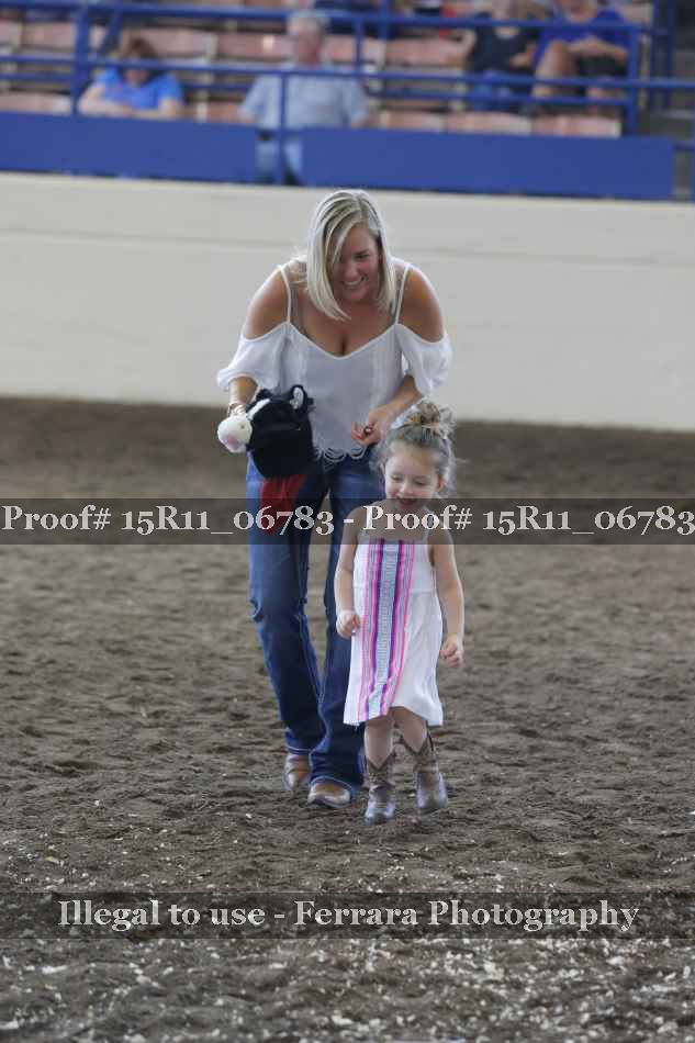 Proof Number 15R11_06783