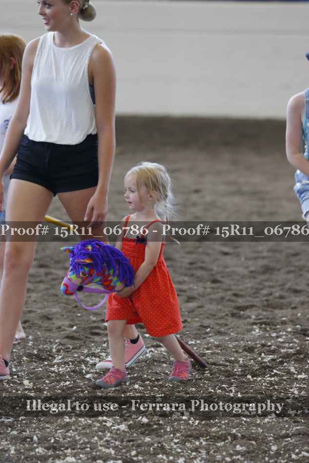 Proof Number 15R11_06786