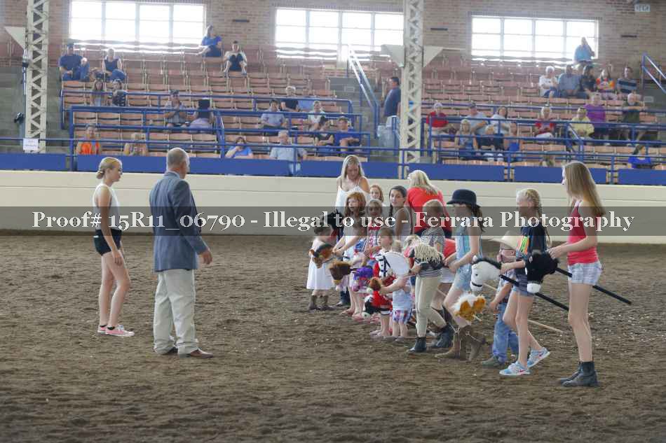 Proof Number 15R11_06790