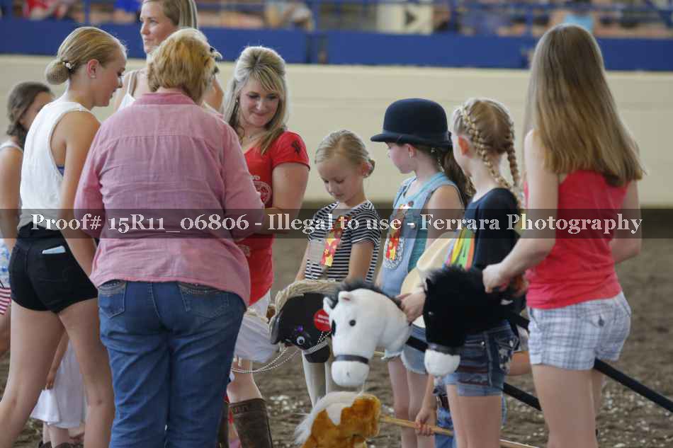 Proof Number 15R11_06806