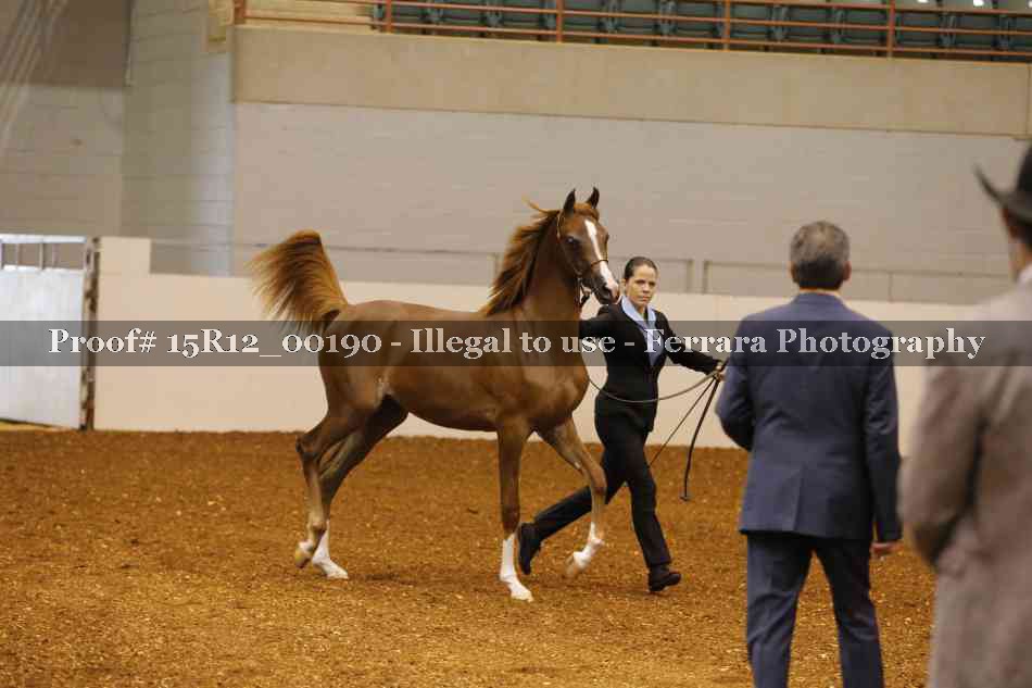 Proof Number 15R12_00190