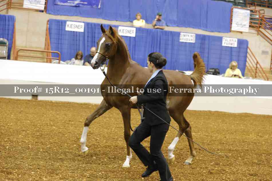 Proof Number 15R12_00191