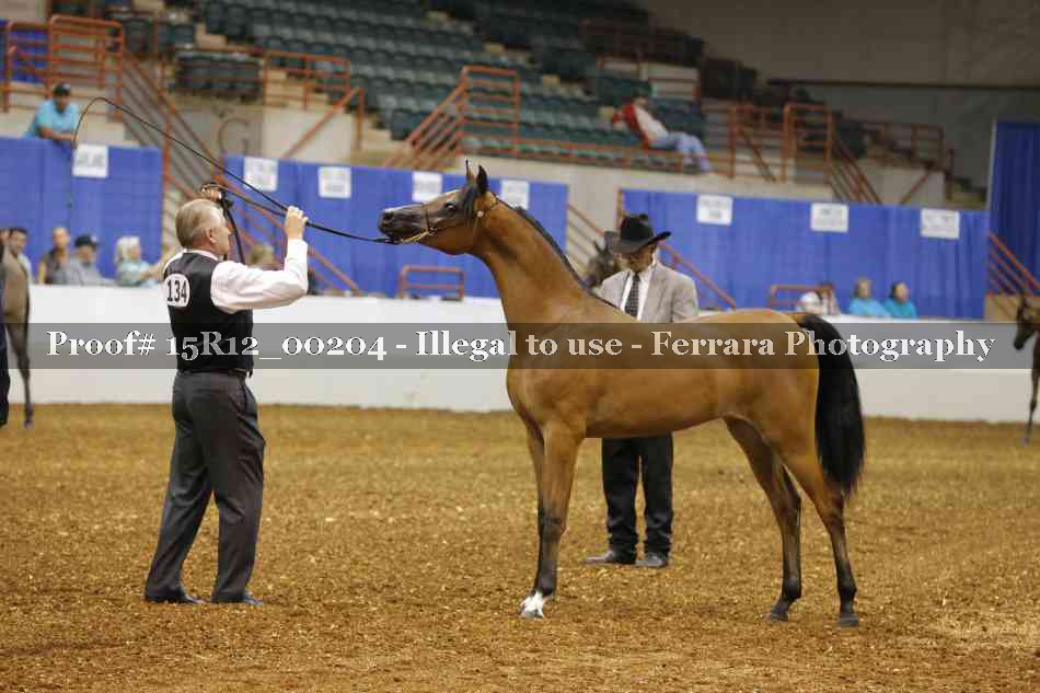 Proof Number 15R12_00204