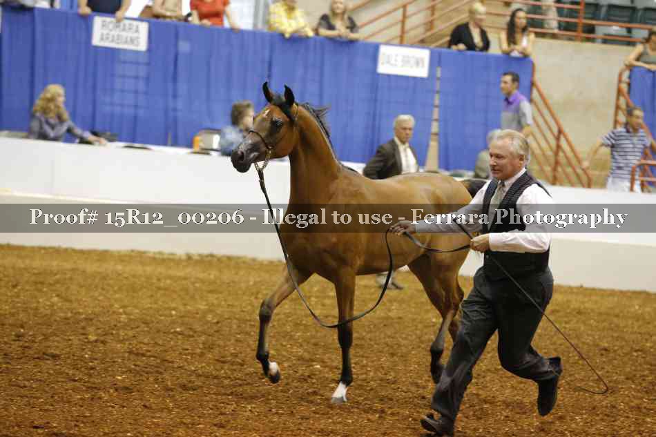 Proof Number 15R12_00206