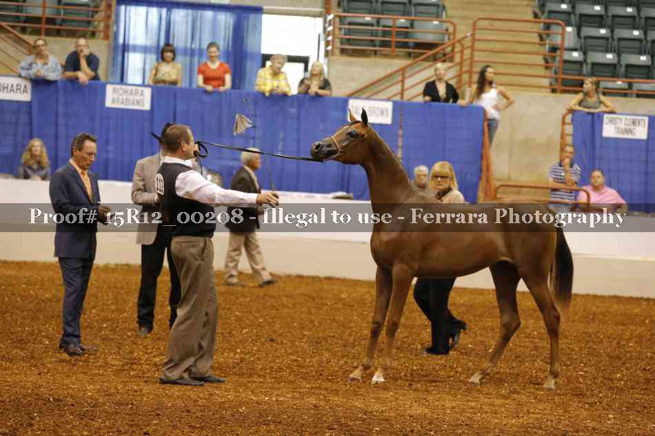 Proof Number 15R12_00208