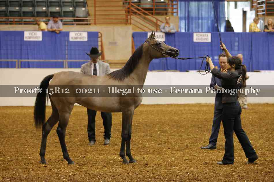Proof Number 15R12_00211