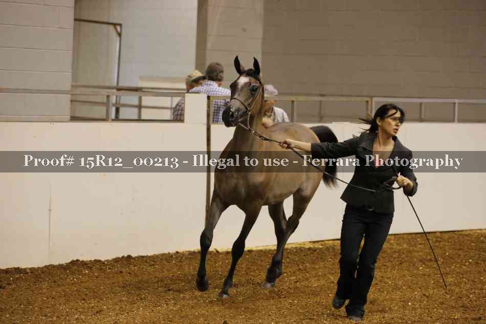 Proof Number 15R12_00213
