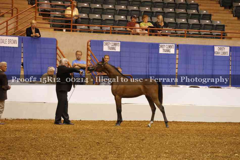 Proof Number 15R12_00214