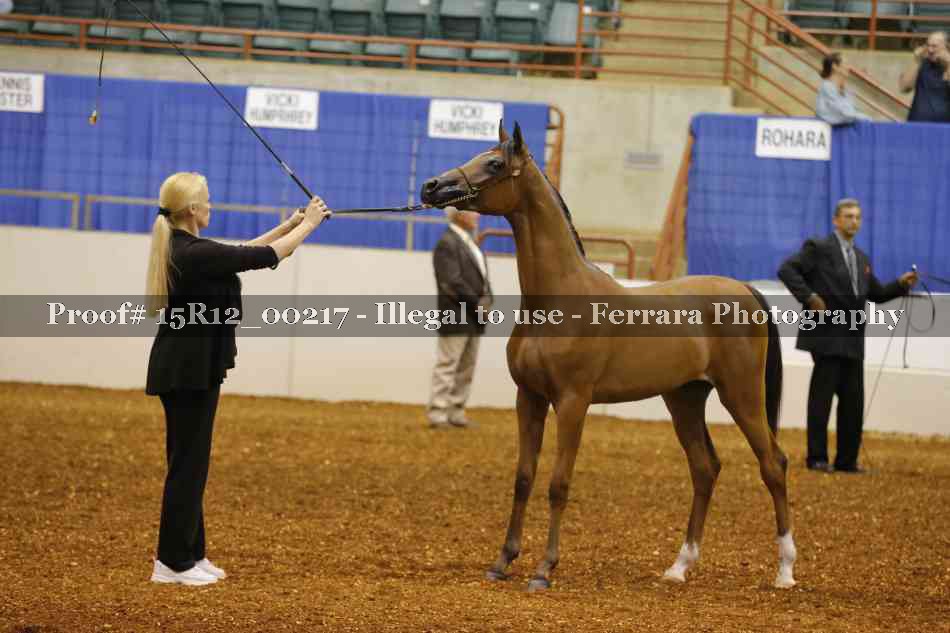 Proof Number 15R12_00217