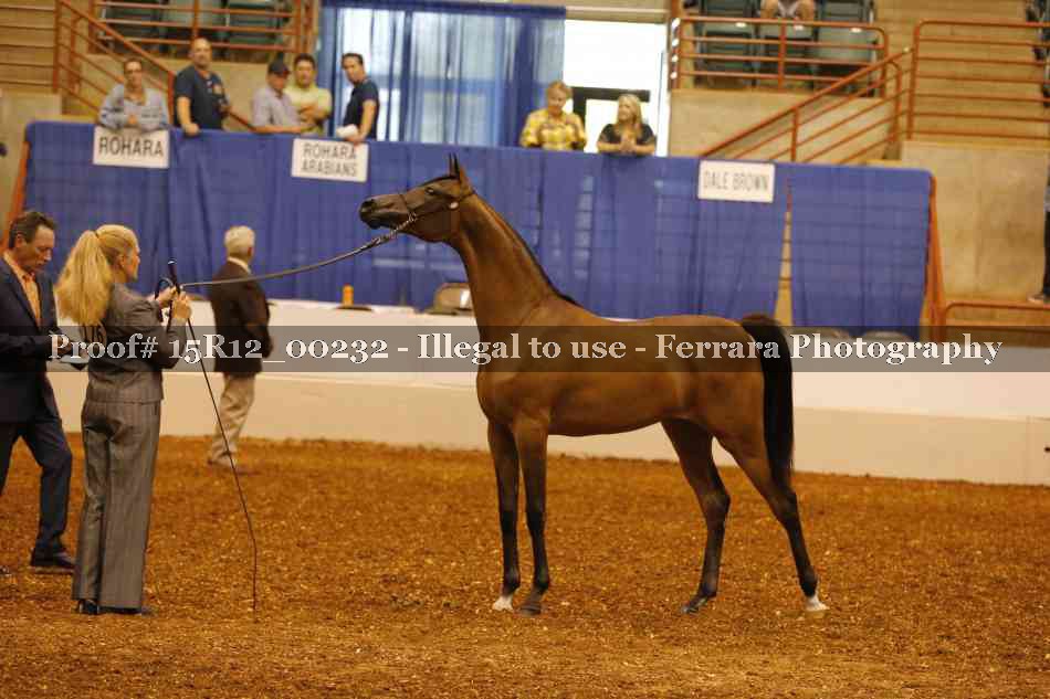 Proof Number 15R12_00232
