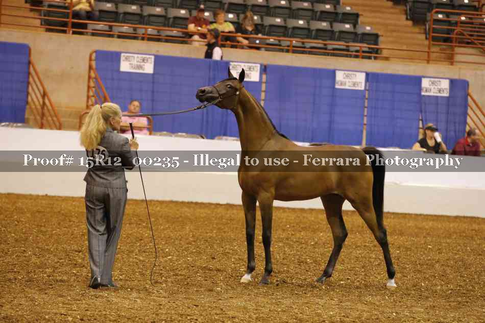 Proof Number 15R12_00235