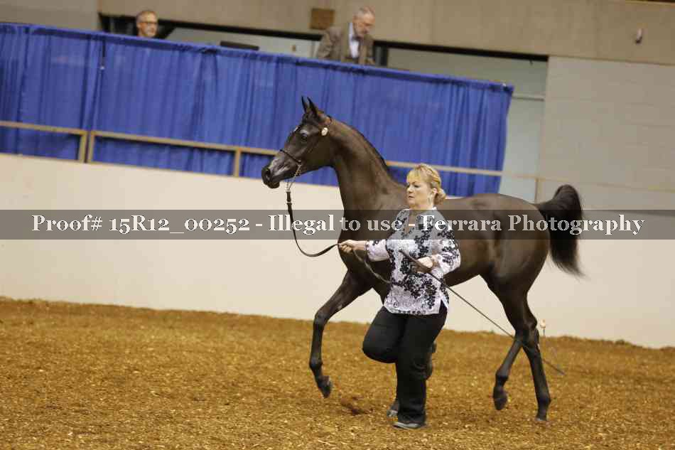 Proof Number 15R12_00252