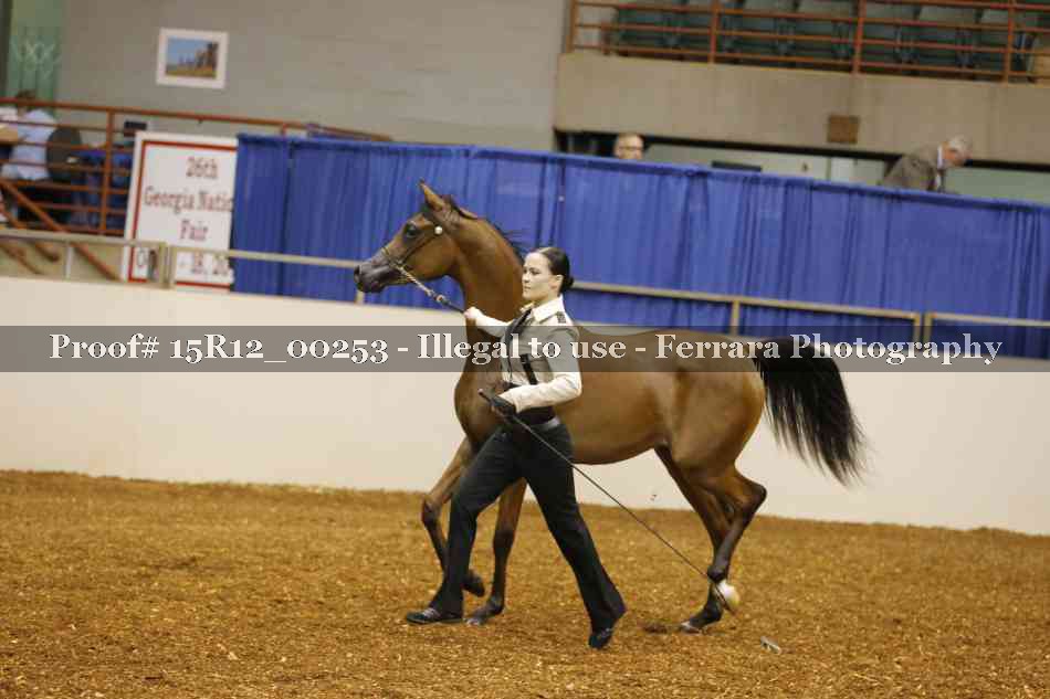 Proof Number 15R12_00253