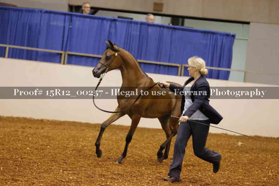 Proof Number 15R12_00257