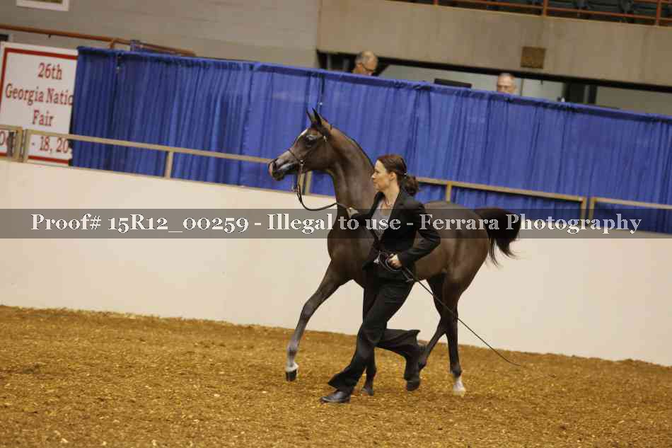 Proof Number 15R12_00259